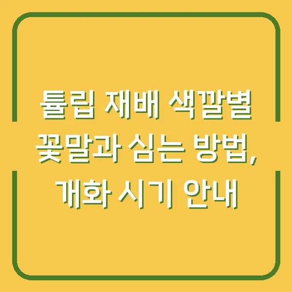 튤립 재배 색깔별 꽃말과 심는 방법, 개화 시기 안내