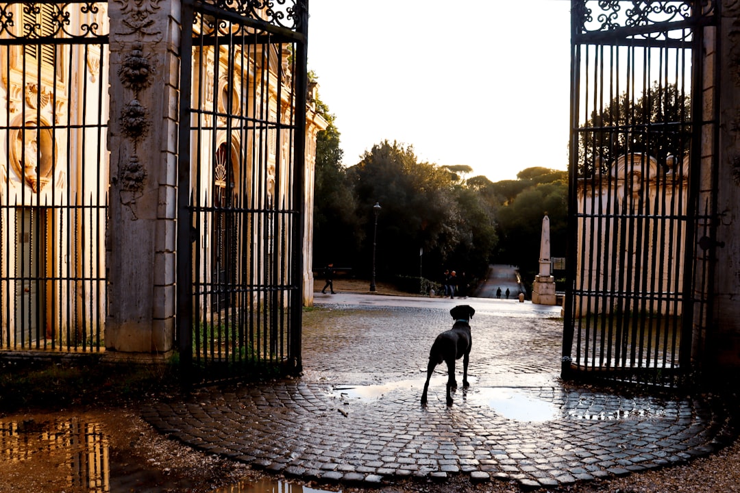 Entrance Fee