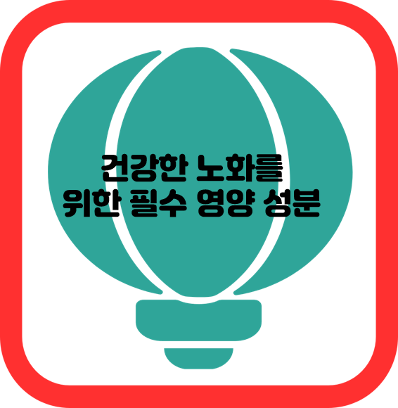 건강한 노화를 위한 필수 영양 성분