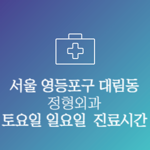 서울 영등포구 대림동 정형외과 주말 토요일 일요일 문여는 병원 진료시간-