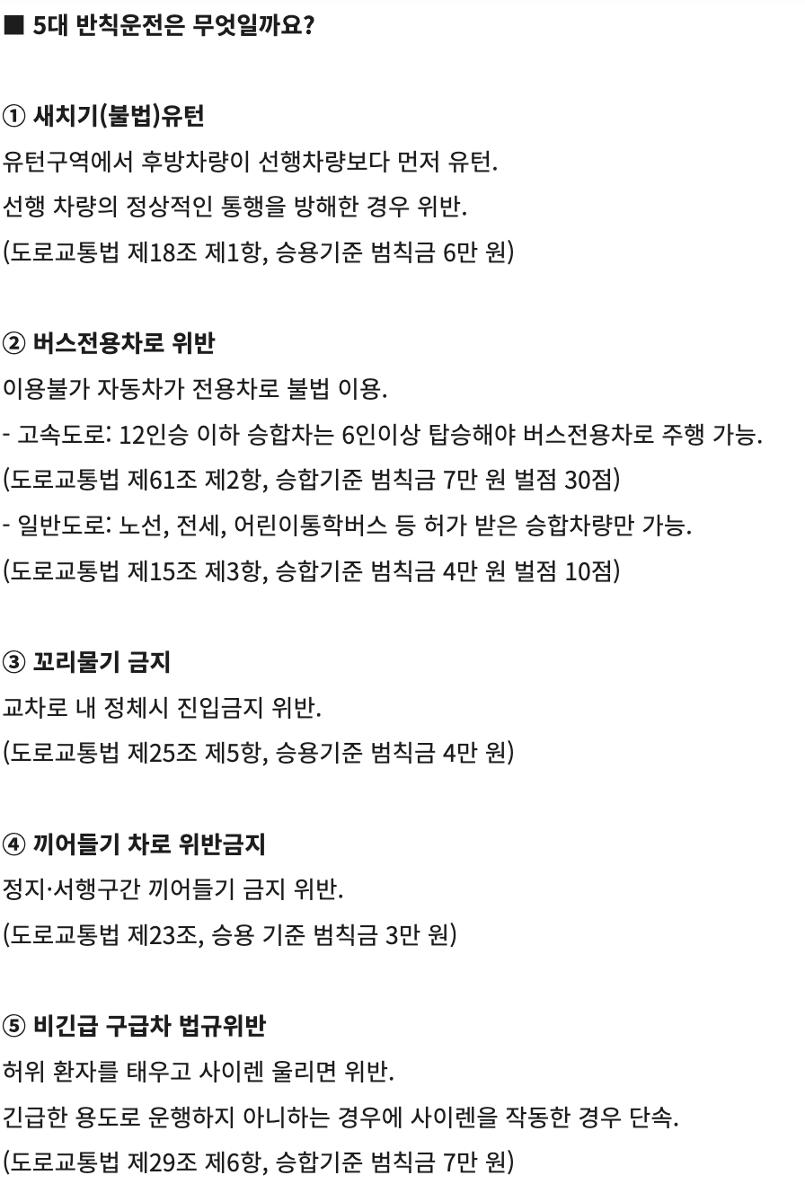 5대 반칙운전 집중단속 벌금 범칙금 벌점 끼어들기 유턴 버스전용도로 04