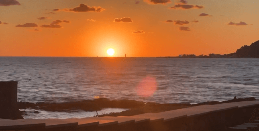 제주 가을 코스모스 축제 - 웨이뷰