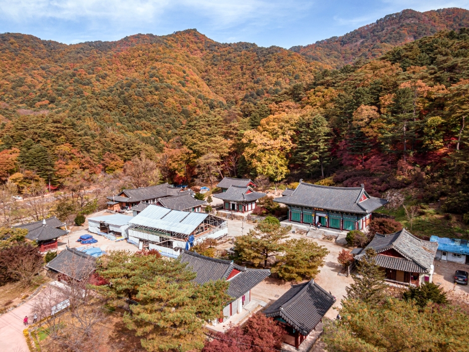 홍천 가볼만한곳 베스트10