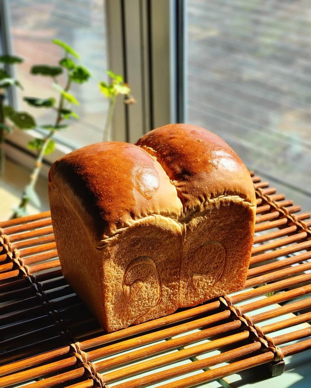 생방송오늘저녁 전남 장흥 빵집 농부네 빵집 빵 사진 모음