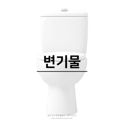 원룸-자취방-구하기-변기물이-잘-내려가는지