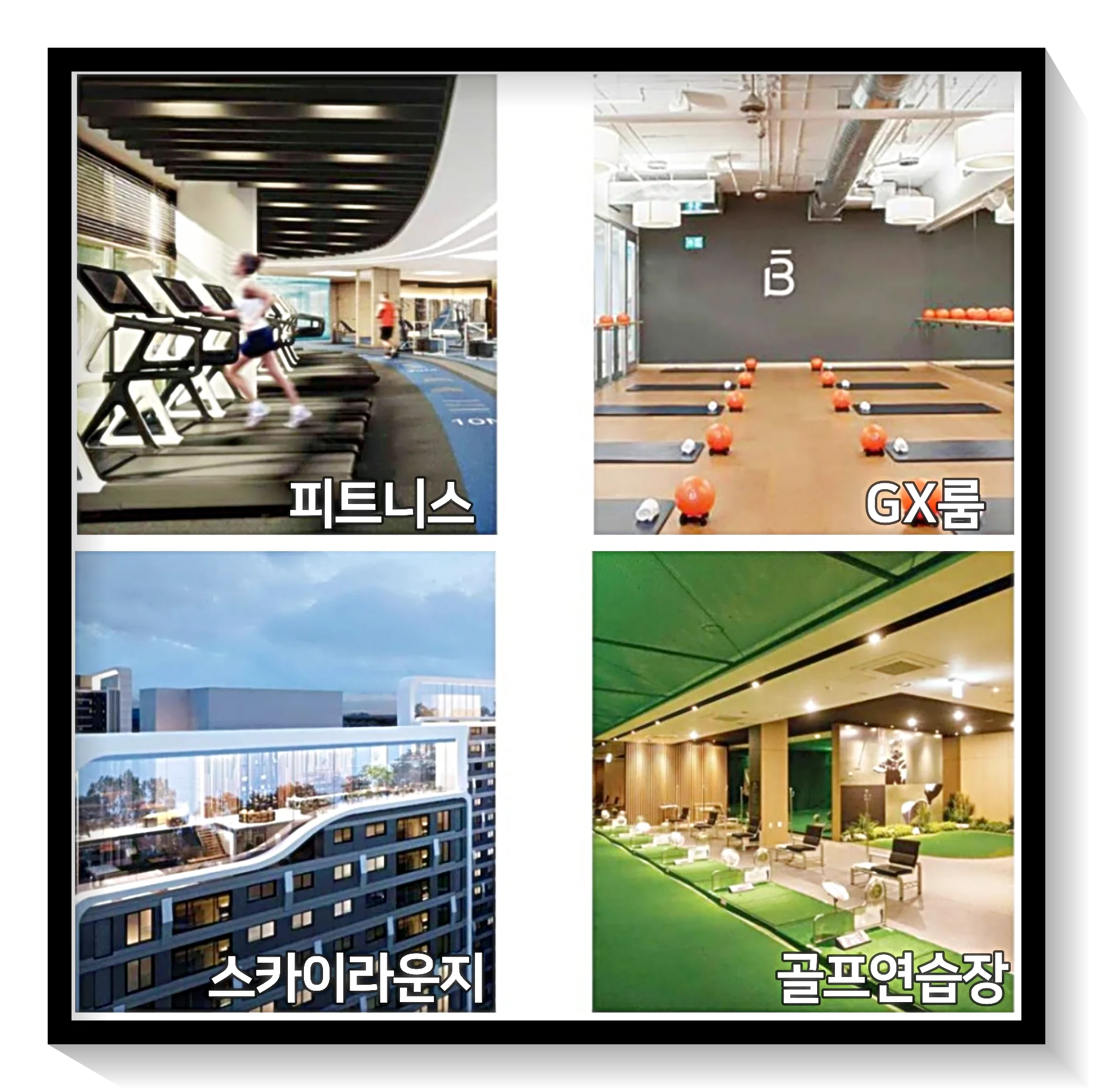 커뮤니티
