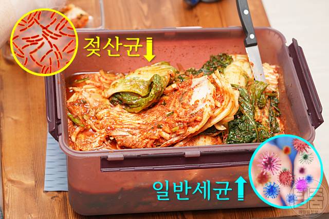 김장김치 군내나는 이유 김치군내잡는법 김치군내 원인