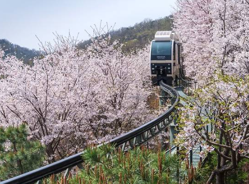 화담숲 예약하기