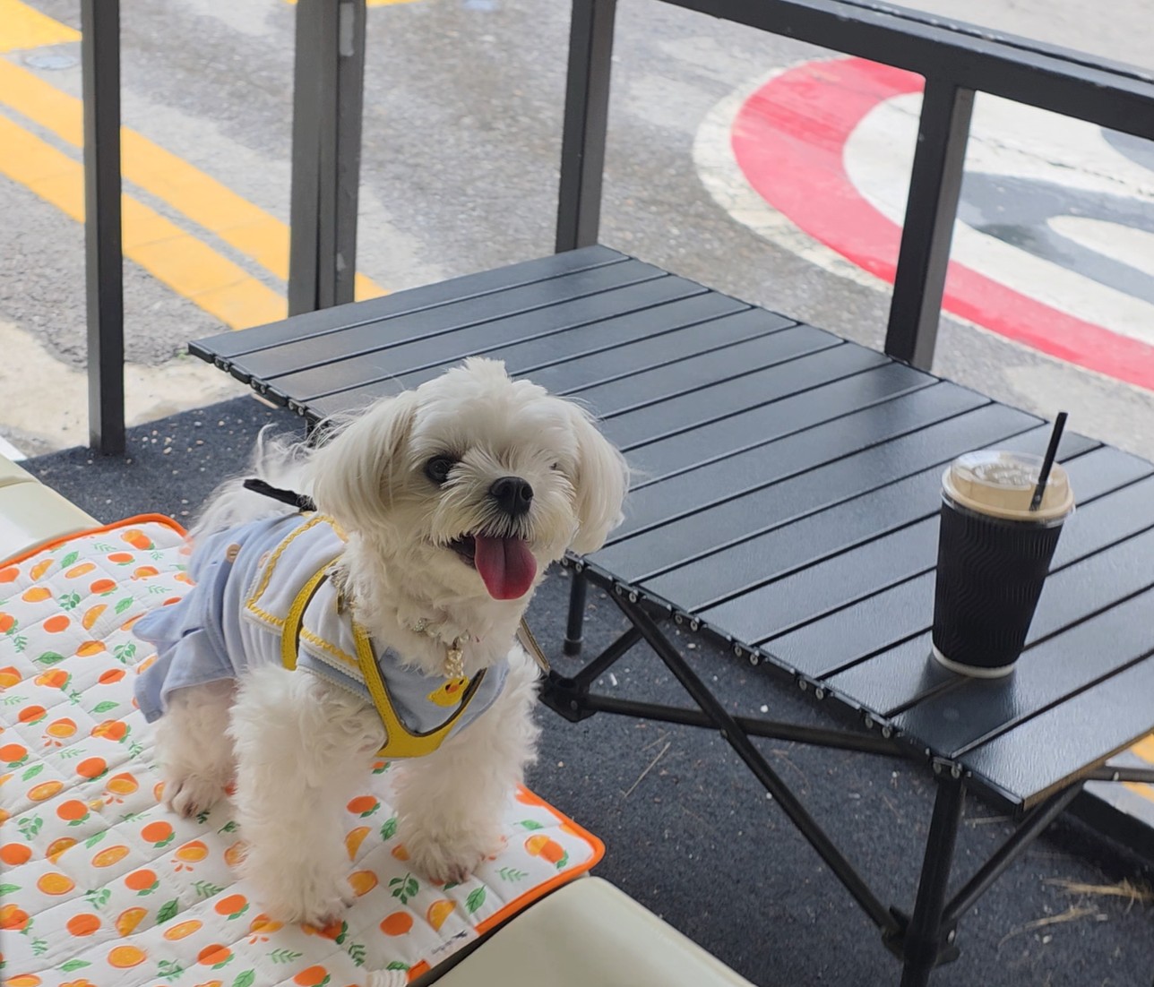 카페에서 라떼 모습