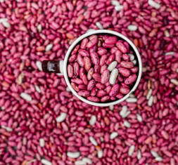 알부민 부작용 복용시간