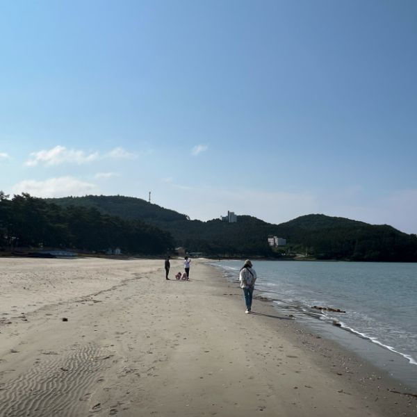 땅끝송호해수욕장