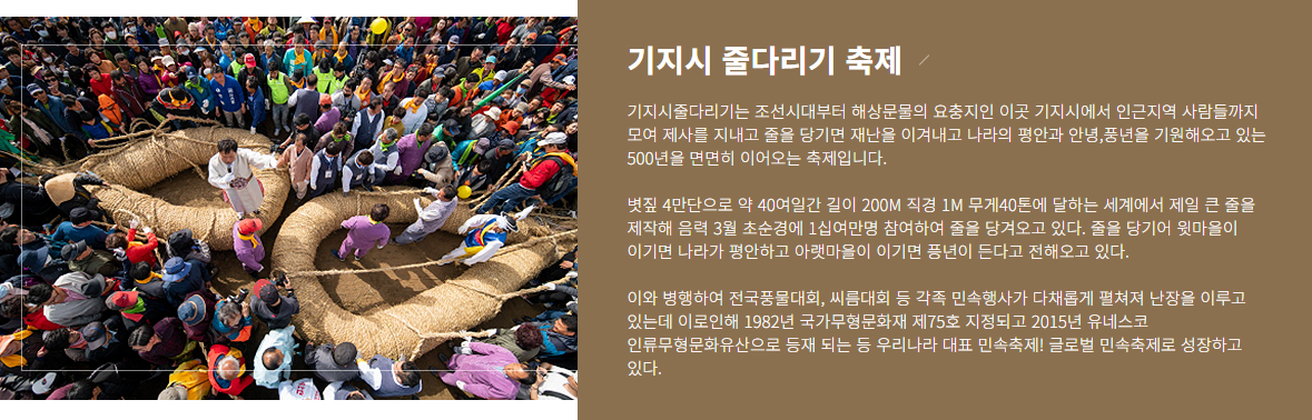 줄다리기축제 역사