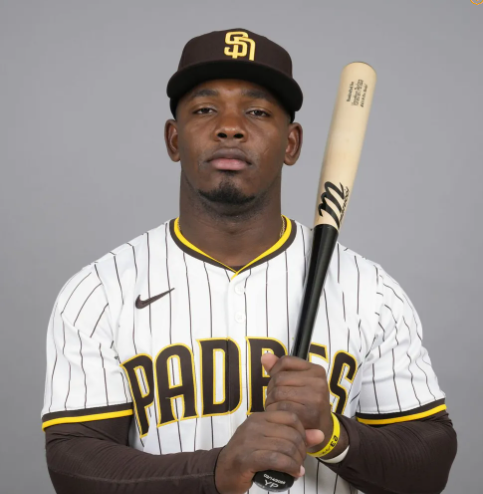 페라자 트리플A 모습