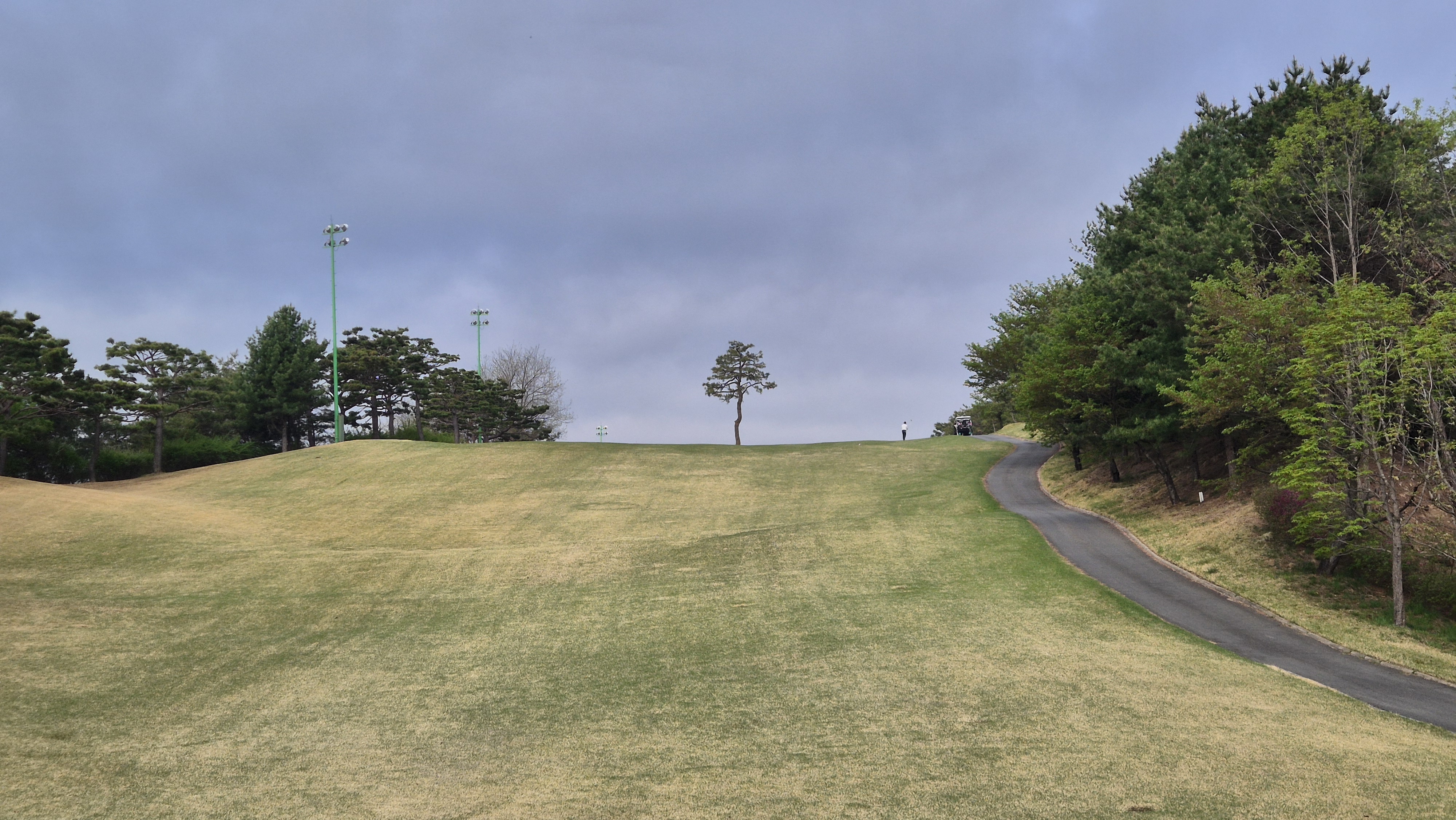 시그너스cc 코튼-라미 코스 사진 및 공략 정보