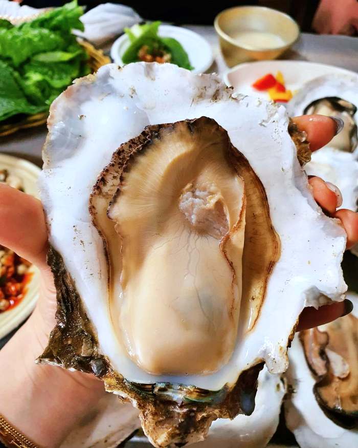 생방송투데이 구례 벚굴 벚굴찜 벚굴구이 맛집