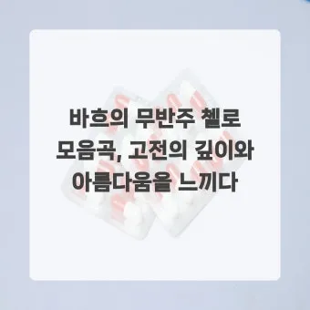 바흐의 무반주 첼로 모음곡: 단순함 속의 깊이를 탐구한다 연주 해설 분석_14