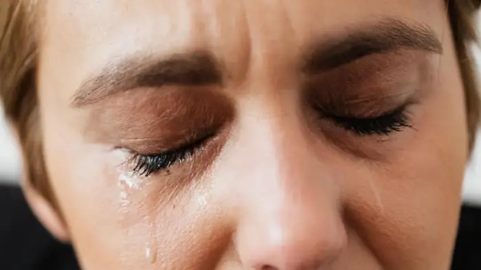 페리덱스 사용법