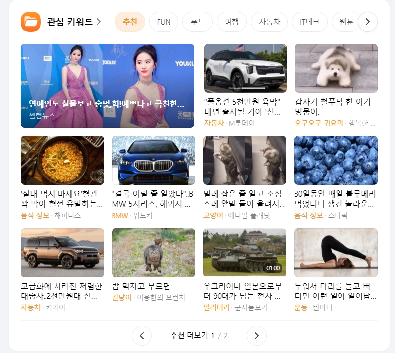 웹툰과 IT 테크 정보 등 다양한 볼거리가 제공되는 화면