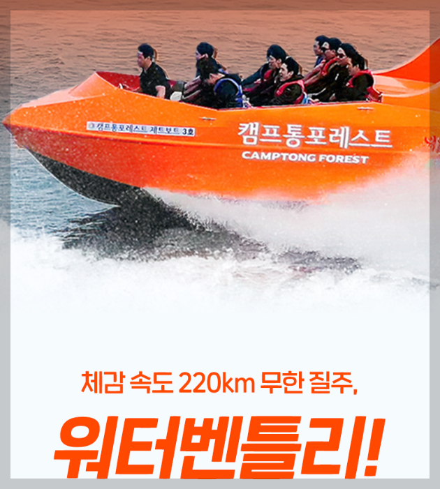 캠프통 포레스트