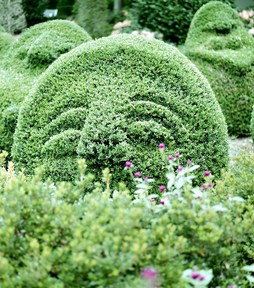 생방송오늘저녁 대한민국 보물정원 남해 여행 추천