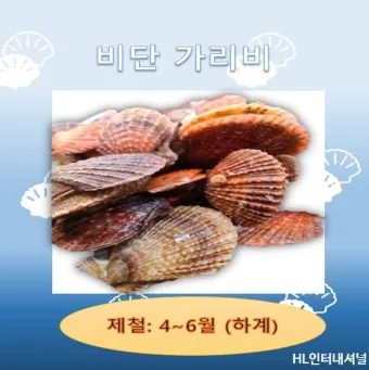 여름철 제철 해산물 추천 리스트 및 요리 활용법 안내_6