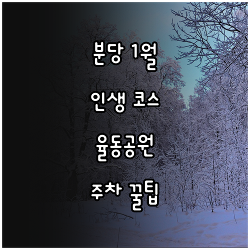 분당 1월 여행 추천 코스 및 율동공..