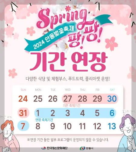 안동 벚꽃축제_1