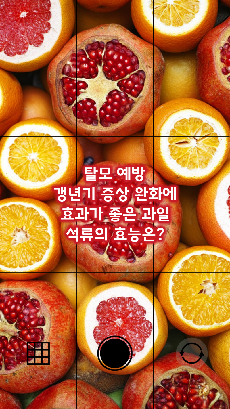 탈모예방 갱년기 증상 완화