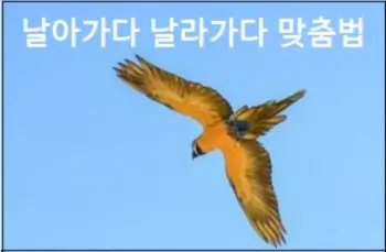 날아가다 날라가다 맞춤법