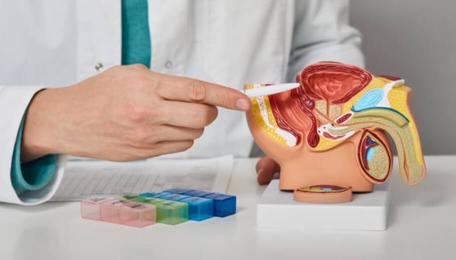 전립선비대증절제수술