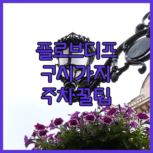 플로브디프 여행 숙소 정보 구시가지 ..