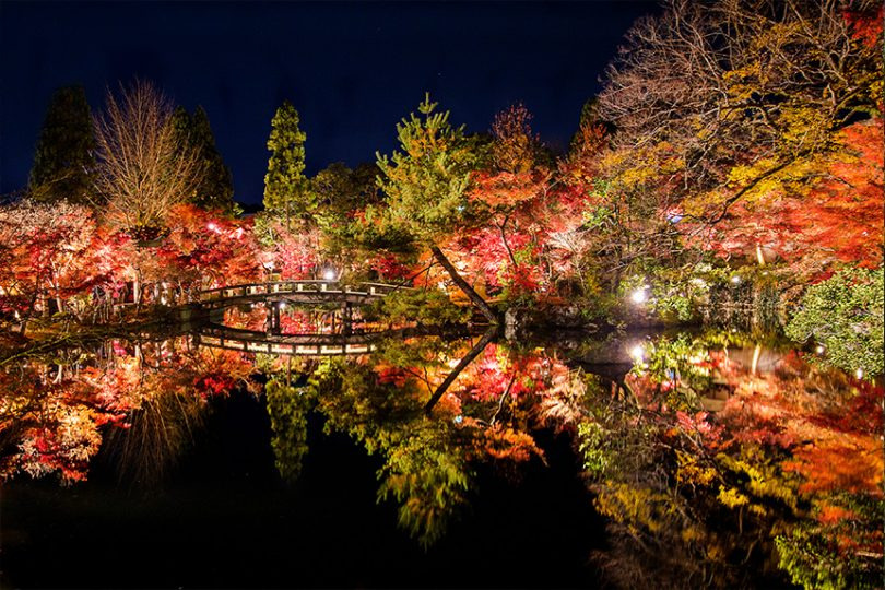 에이칸도 라이트업