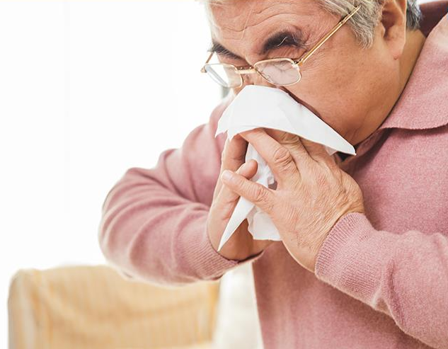 여름철 해충 발생 원인 및 박멸 방법