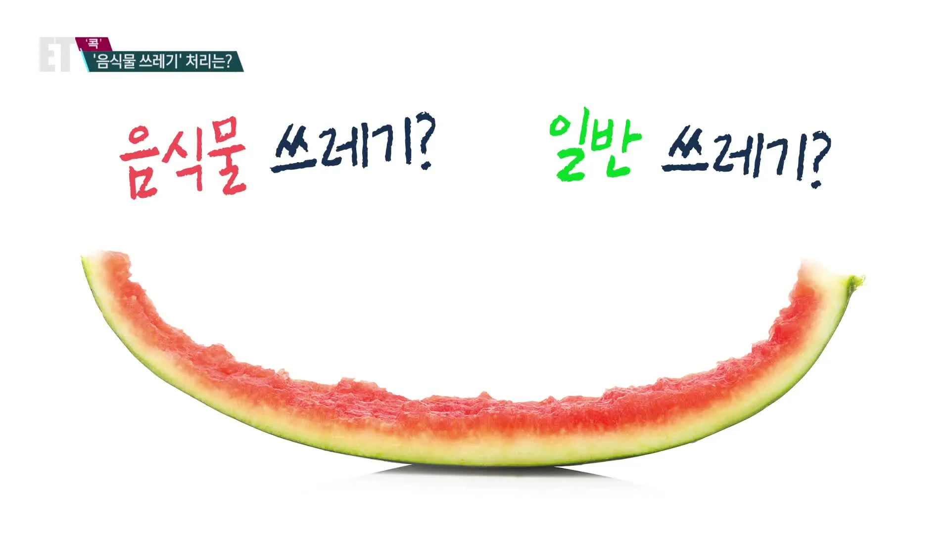 수박껍질 음식물쓰레기 헷갈리는 분들을 위한 정확한 정리_2