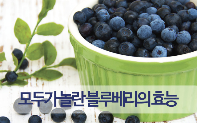 블루베리의 효능