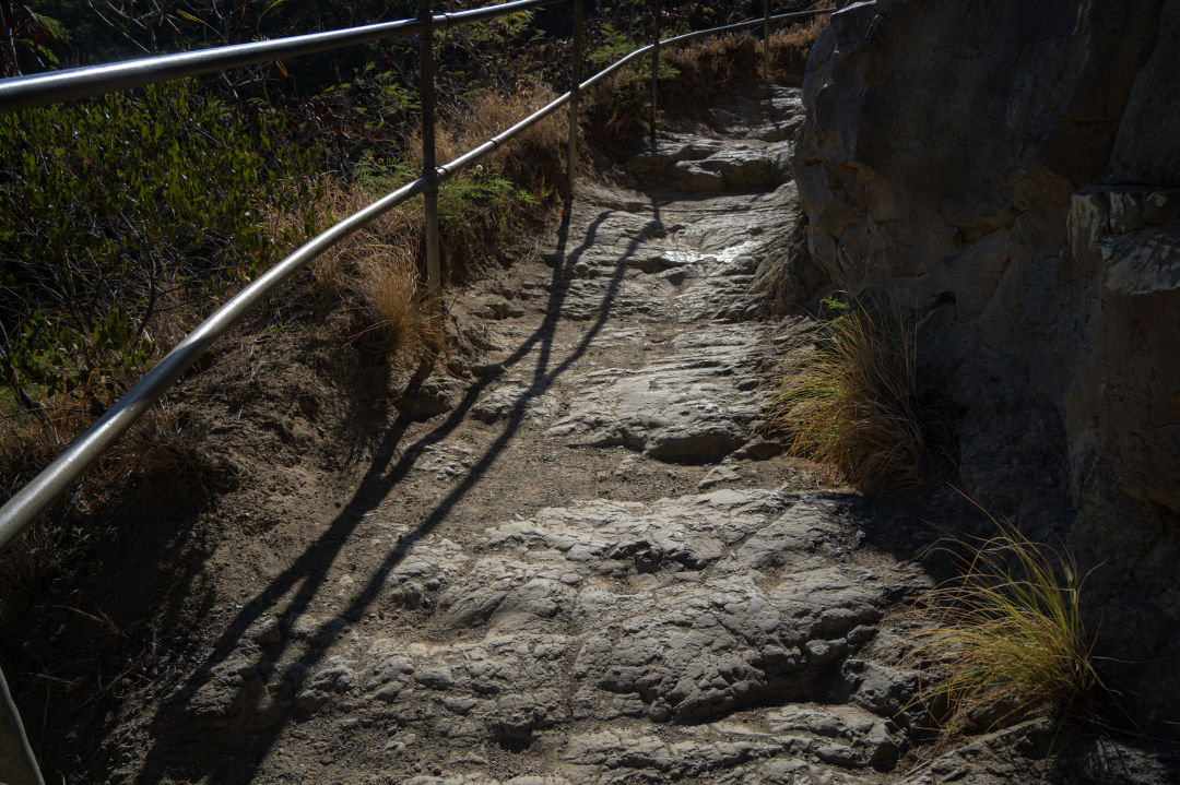 하와이 다이아몬드 헤드 올라가는길