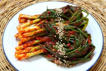 파김치 맛있게 담그는법 황금레시피 꿀팁_3