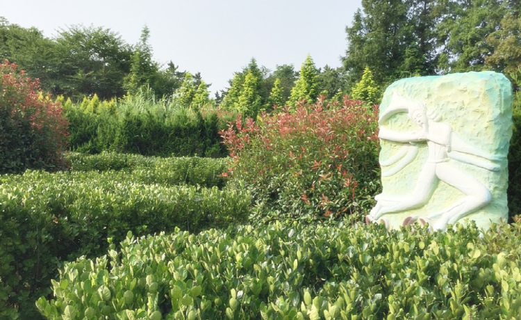 청산수목원