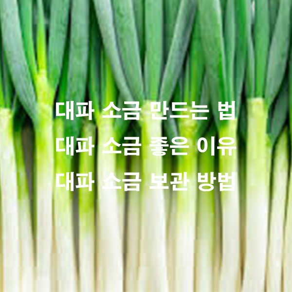 대파 소금 만드는 법 대파 소금 좋은 이유 대파 소금 보관 방법