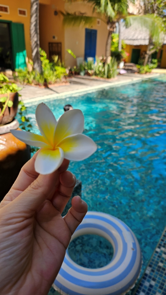 미뇽호텔 수영장 꽃