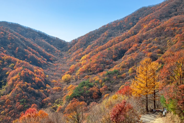 가을 단풍 명소