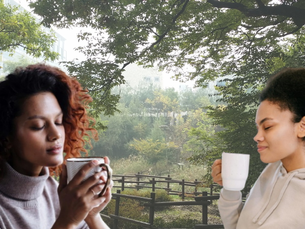 커피 플레이버와 아로마를 해부하다: 로스팅의 최종 종착지_플레이버