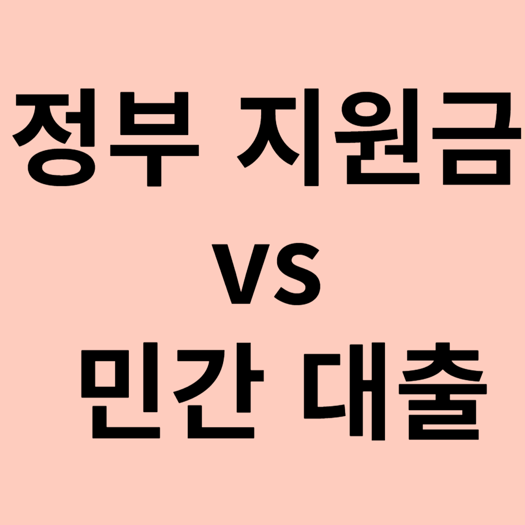 정부 지원금 vs 민간 대출 관련 이미지