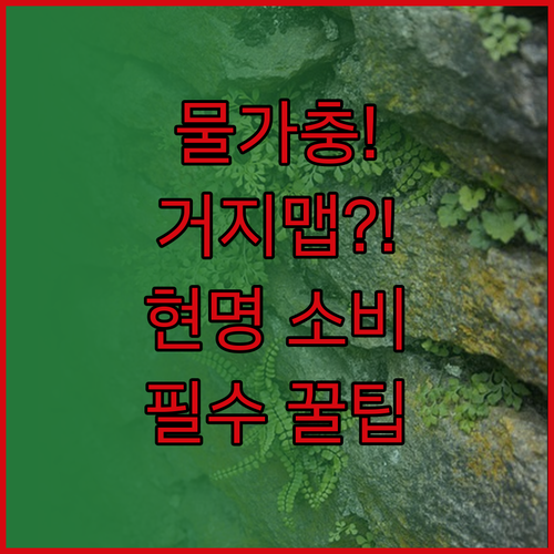 물가 시대 거지맵으로 현명한 소비하는..