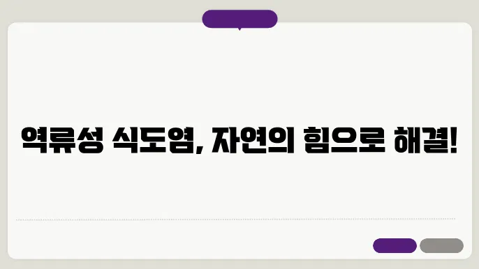 역류성 식도염 자연치료 방법