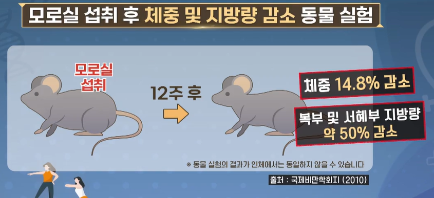 모로실 효능