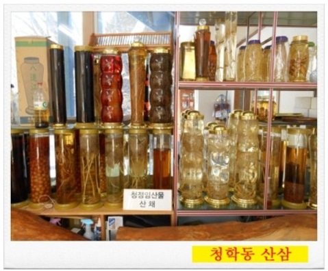 청학동-산삼마루-산삼주