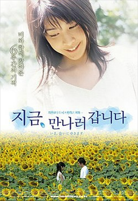 감동적인 영화 추천 : 마음을 울리는 명작들