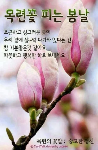 아침인사 이쁜글 다운로드_11