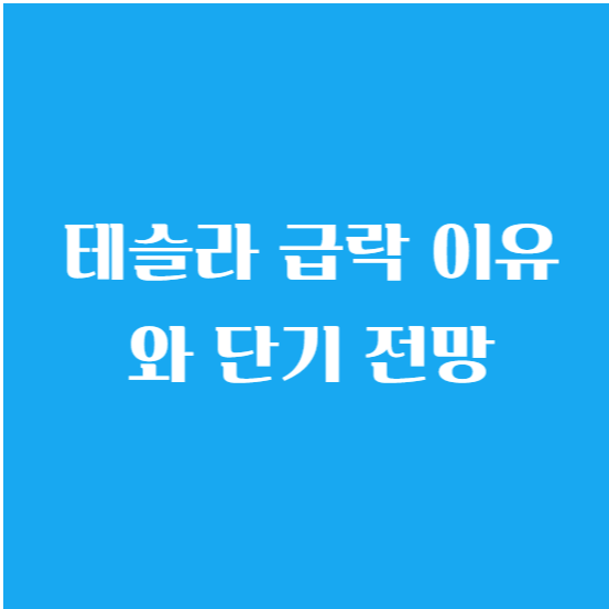 테슬라 급락 이유와 단기 전망
